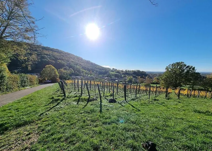 Alpehytte Chalet
